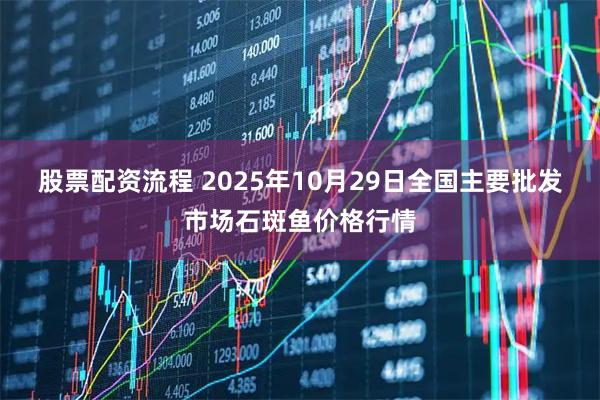 股票配资流程 2025年10月29日全国主要批发市场石斑鱼价格行情